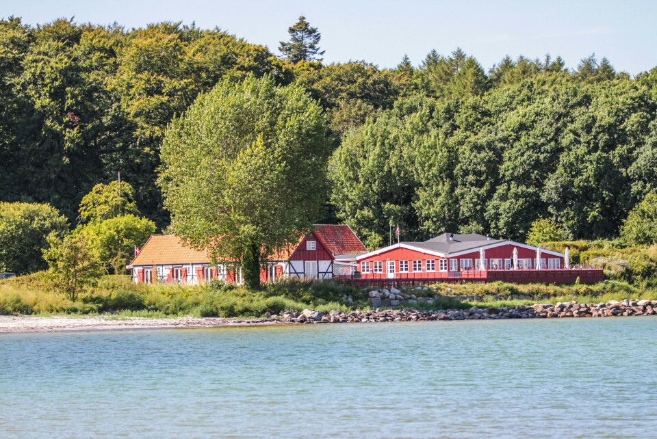 Traktørstedet Gjorslev Bøgeskov har en eventyrlig udsigt over Østersøen.