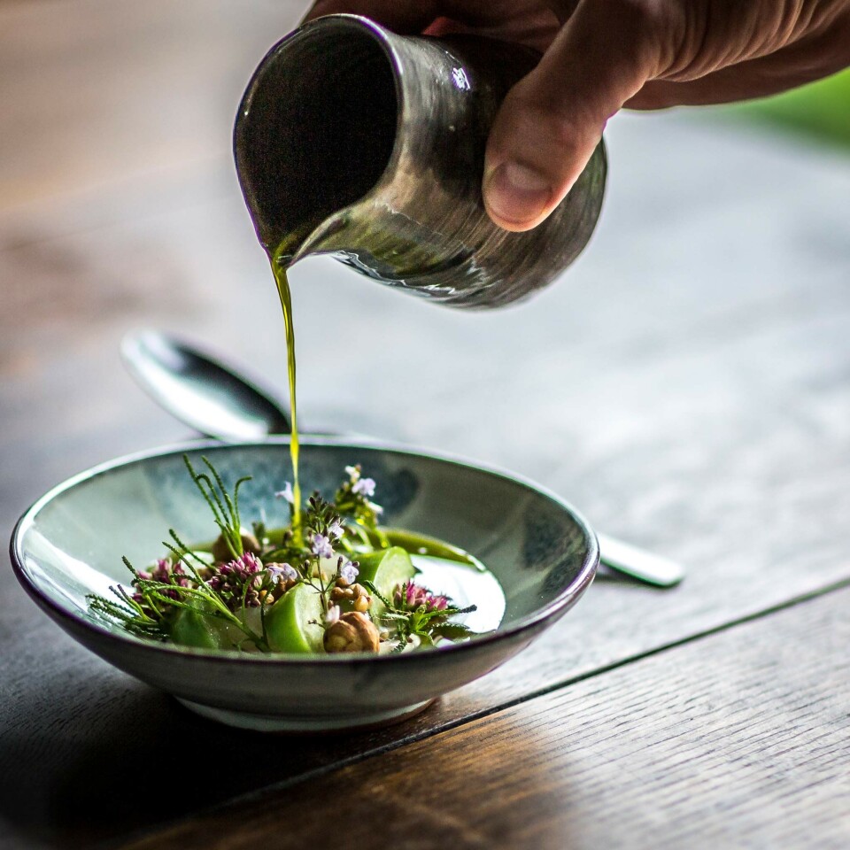 Ferie i Danmark: Her er de bedste picnicsteder, gårdbutikker & den ultimative hjemmelavede is