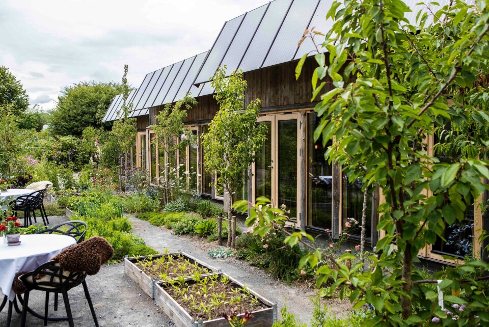 Det grønne køkken i Restaurant Moment er hædret af bl.a. Michelin-guiden.
