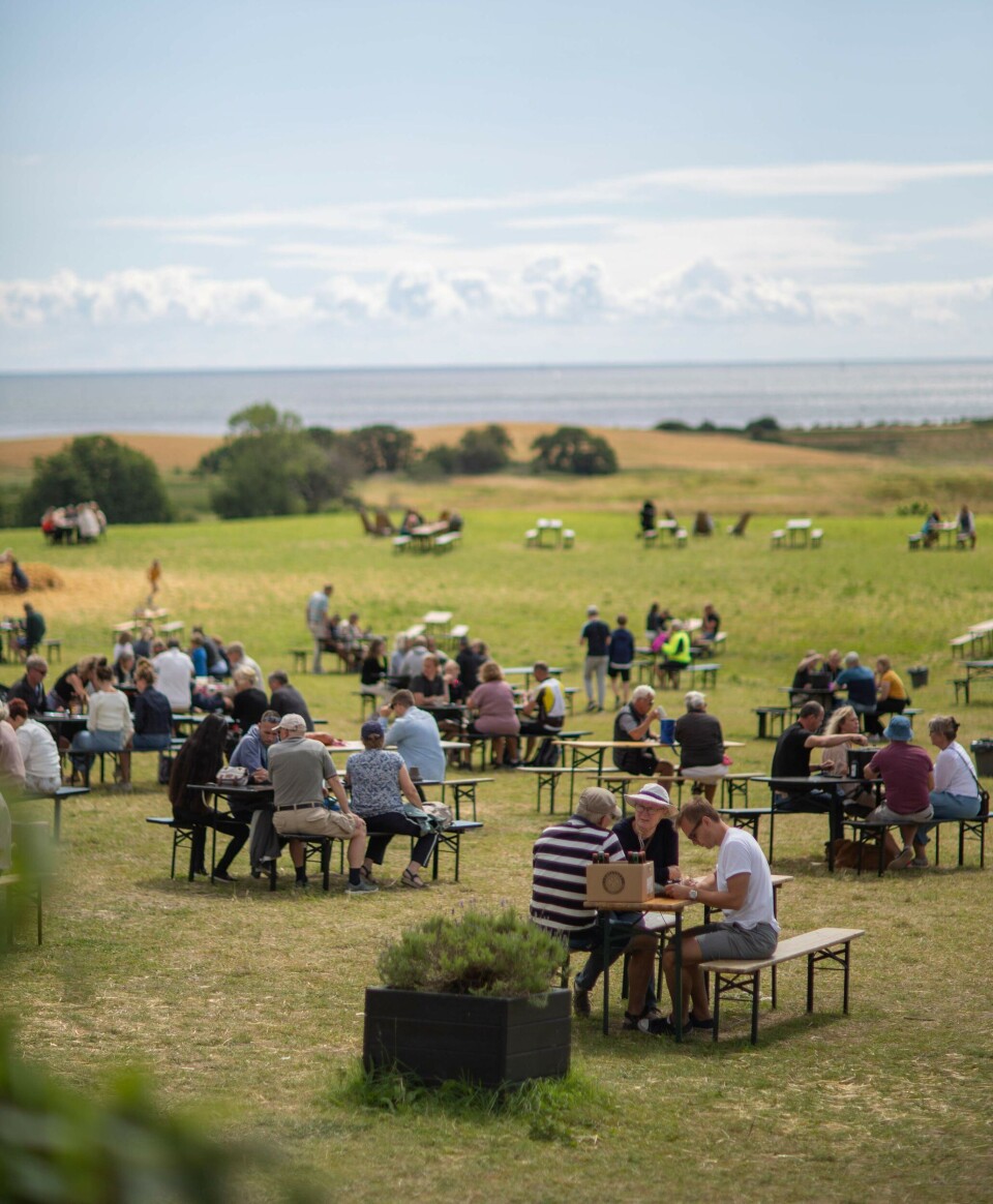 Hos Ebeltoft Gårdbryggeri kan du nyde håndlavet øl, frugtig brus og saftig lemonade med storslået udsigt.