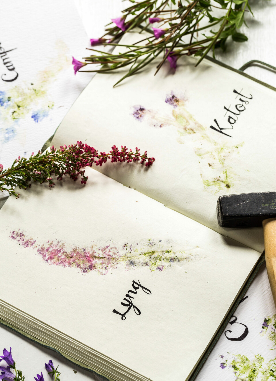 Bog med blomsterminder