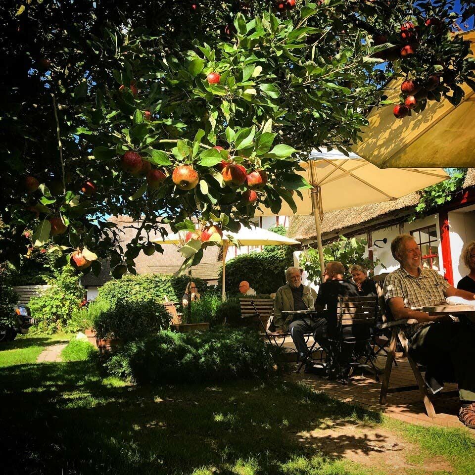 Ferie i Danmark: Her er de bedste picnicsteder, gårdbutikker & den ultimative hjemmelavede is