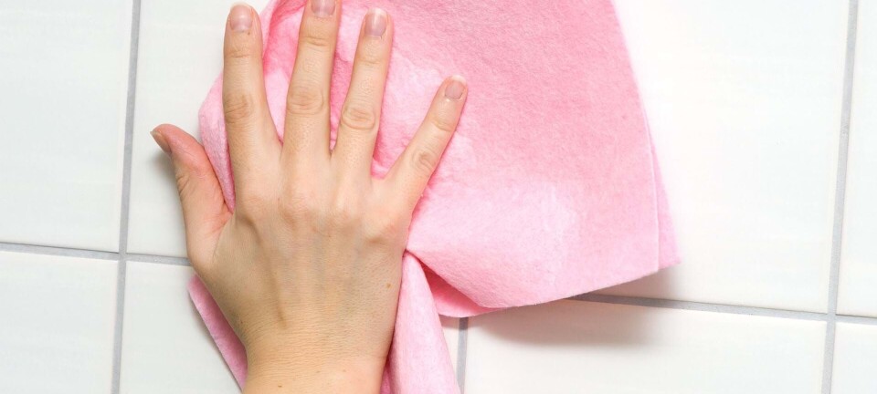 Rengøringsekspert: Denne type karklud er en bakterierede