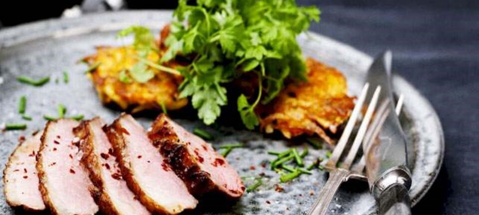 Andebryst med sprøde rodfrugt-kartoffelkager, krydderurter og chili