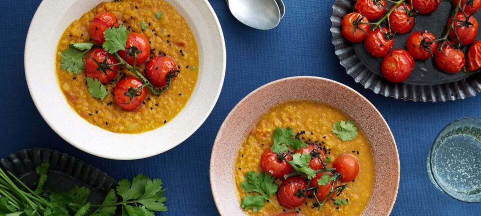 Billig aftensmad: Dhal med ovnristede tomater