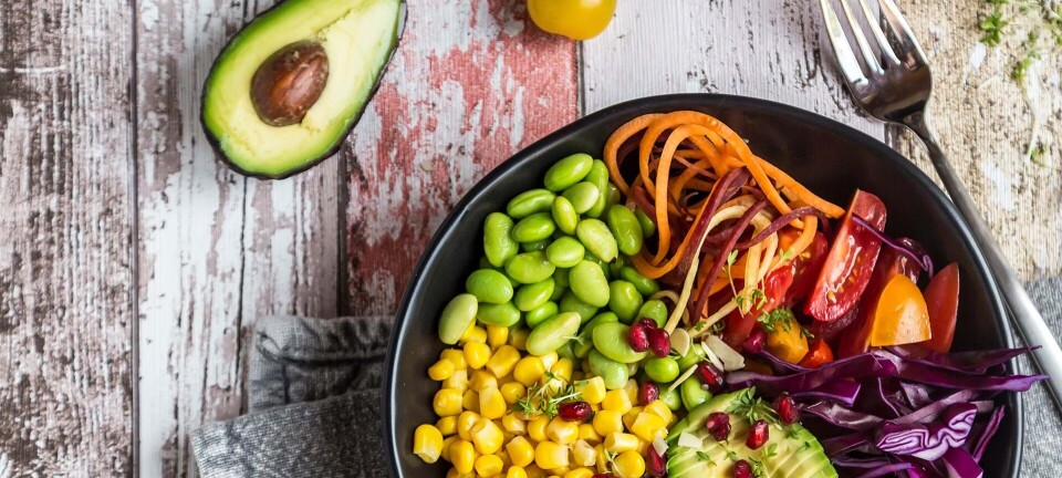 Podcast: Camilla har testet Vegansk vægttab, men er det en kur der dur?