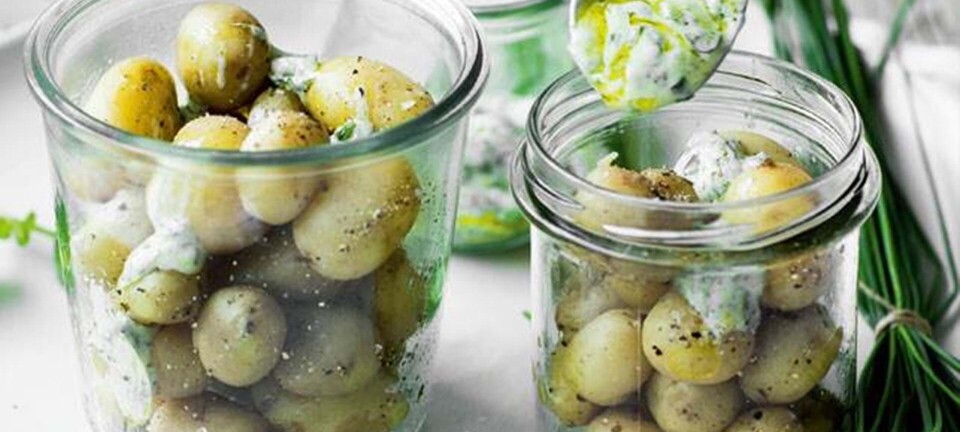 Nye kartofler med urtedip