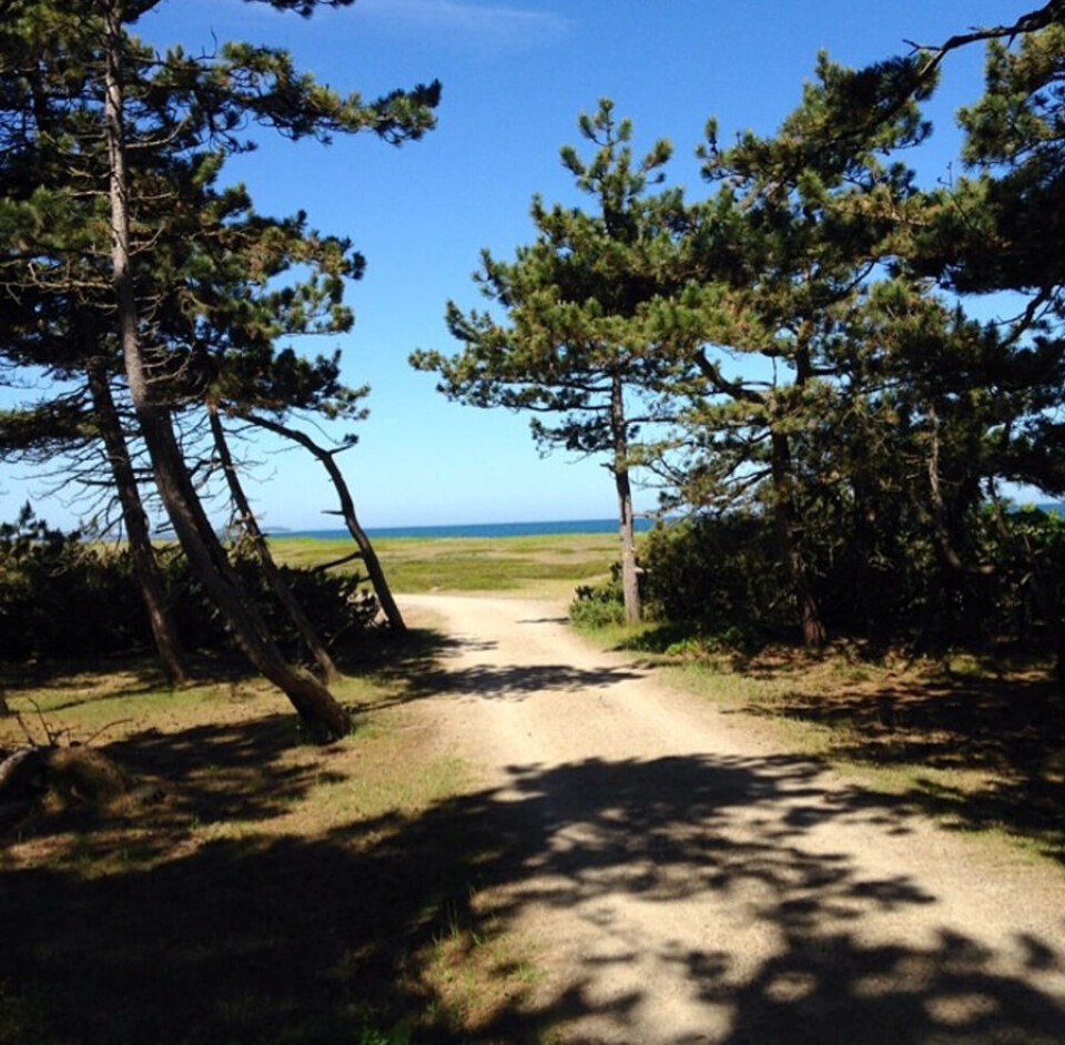 Rørvig