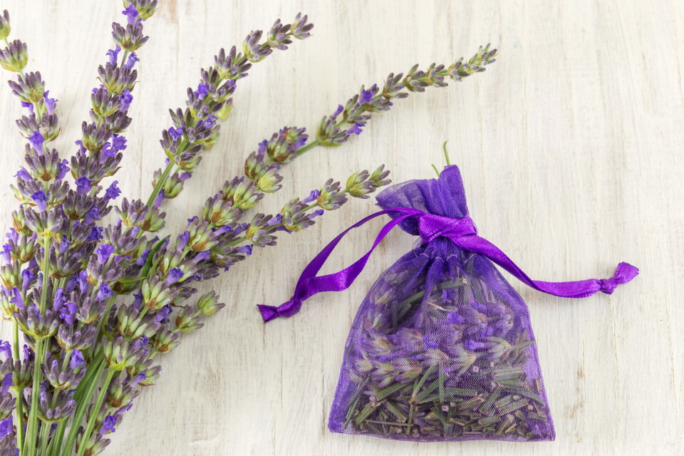 Lavendel duftposer