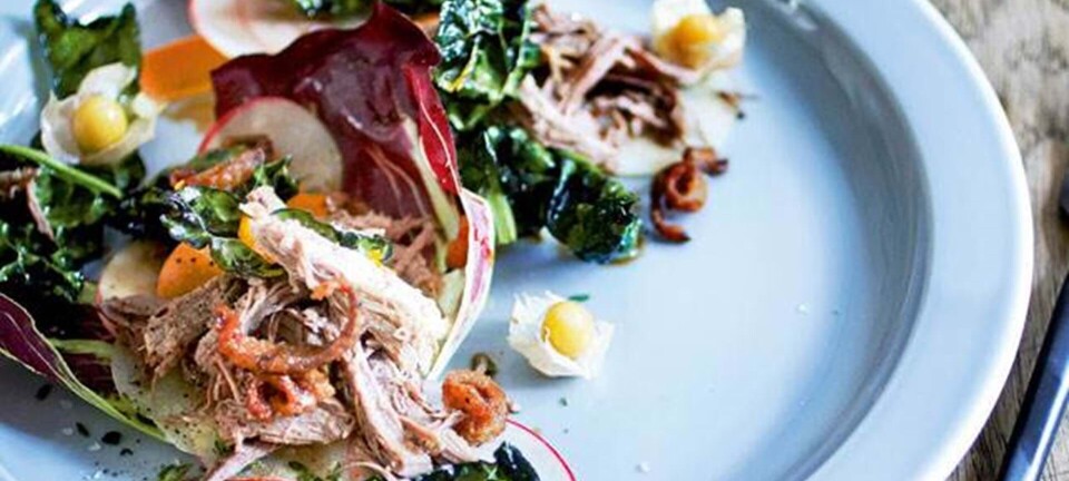 Salat med pulled duck, grønkål og æble