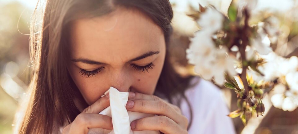 Kend din allergi: Få styr på alle symptomerne