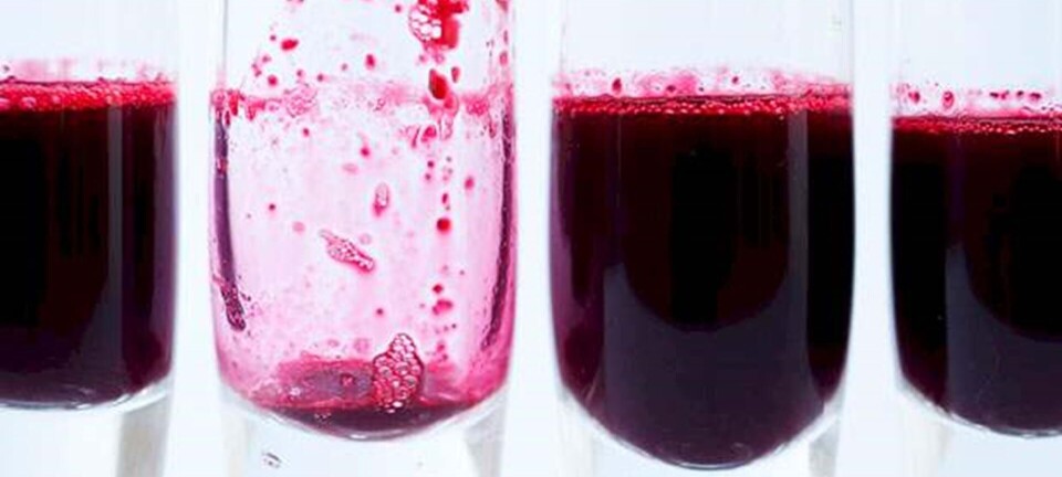 Power grøntsags-frugtjuice