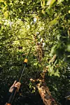 Fiskars_Garden_Action_PowerGearX_Tree_pruner_UPX86_1023624.png