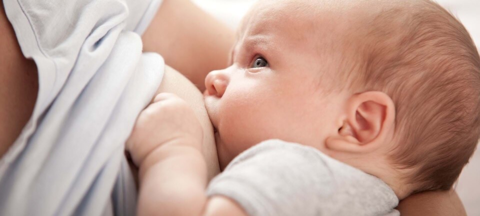 10 facts om amning og alkohol