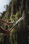 Fiskars_Garden_Action_PGX_Hedge_shear_HSX92.png