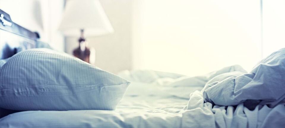 Guide: Sådan bekæmper du husstøvmider