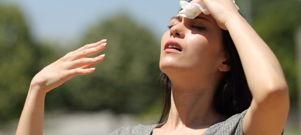 ”Sikke et dejligt solskinsvejr” – eller hvad? Her er 10 gode grunde til at hade sommeren