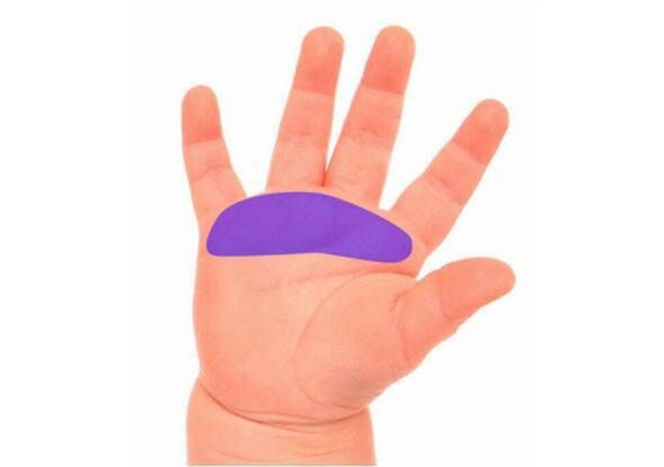 Lungezone zoneterapi punkter