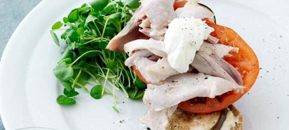 Elverbrød med grillet aubergine og kylling