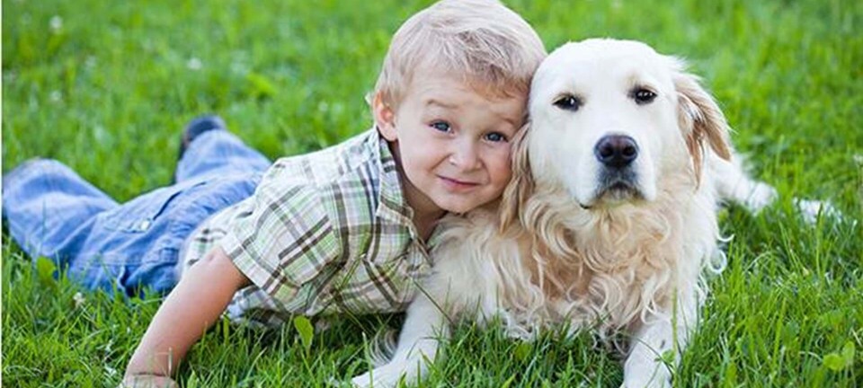 Dit barn og din hund er ens
