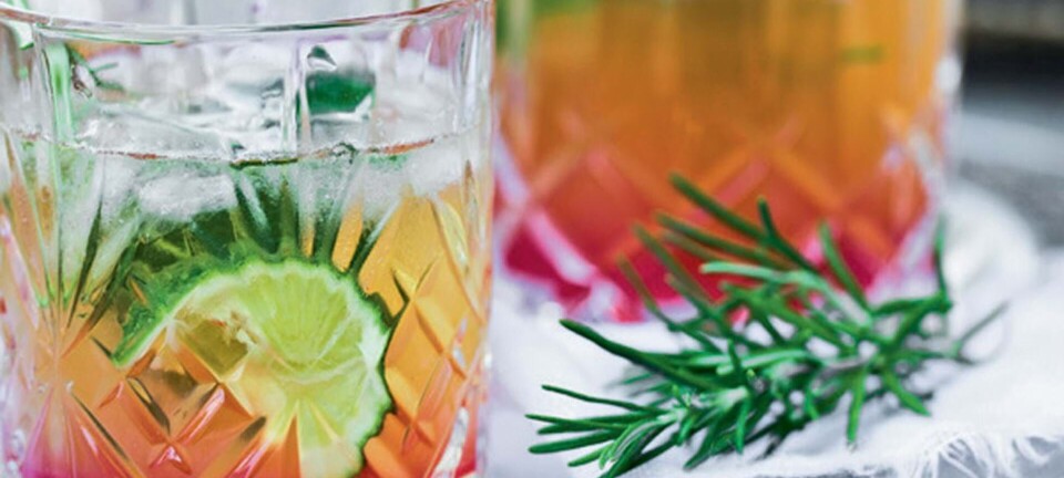 Iskold rabarbermojito