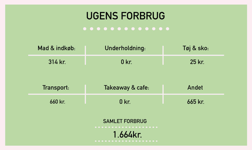 pengedagboeger_michelle_breakdown.jpg