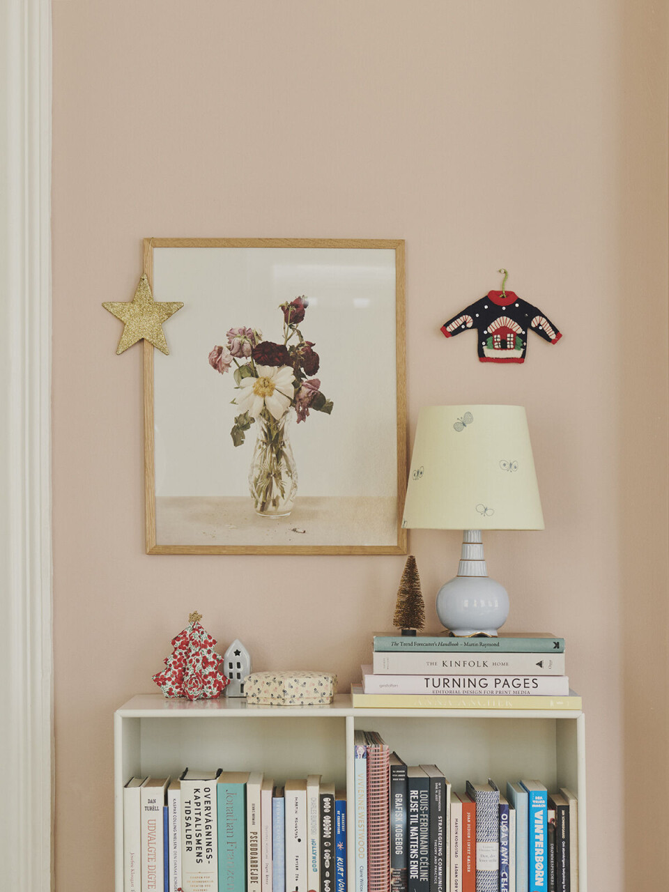 Tikkie Elsøe bolig.6jpg.jpg