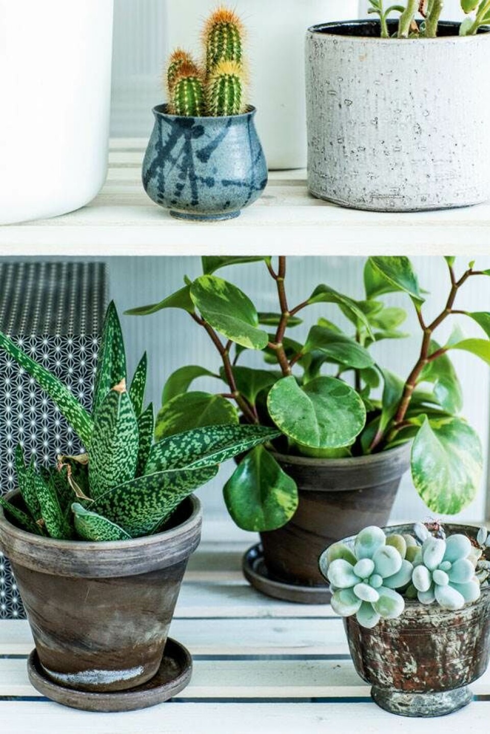 DIY: Kvinde, kend dit byggemarked...