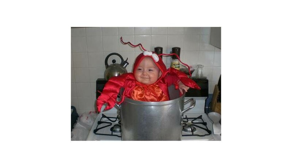 01lobster.jpg