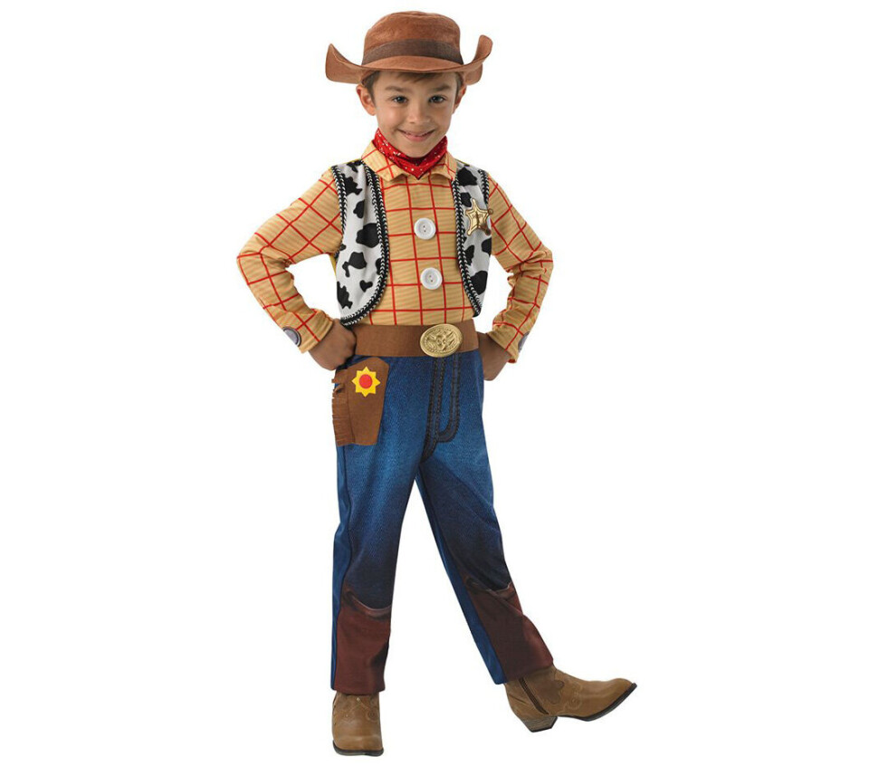 Cowboy_Woody_1.jpg