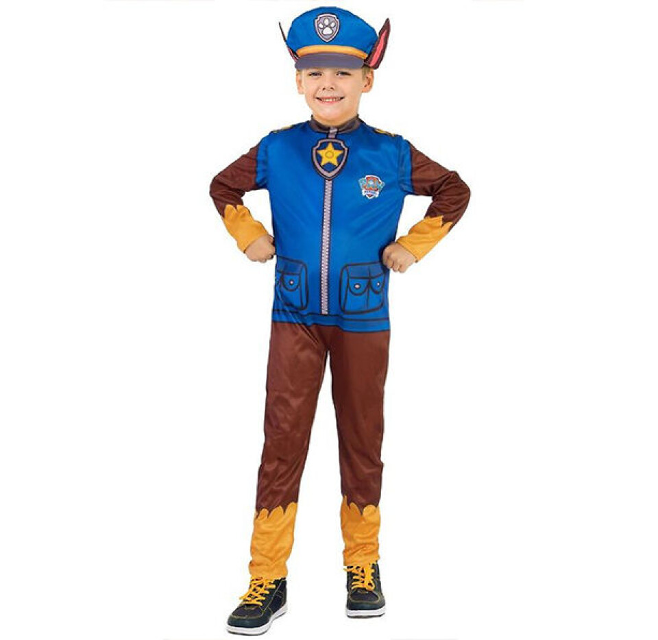 pawpatrol.jpg