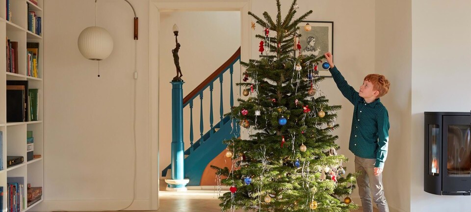 8 ting, du ikke vidste om dit juletræ