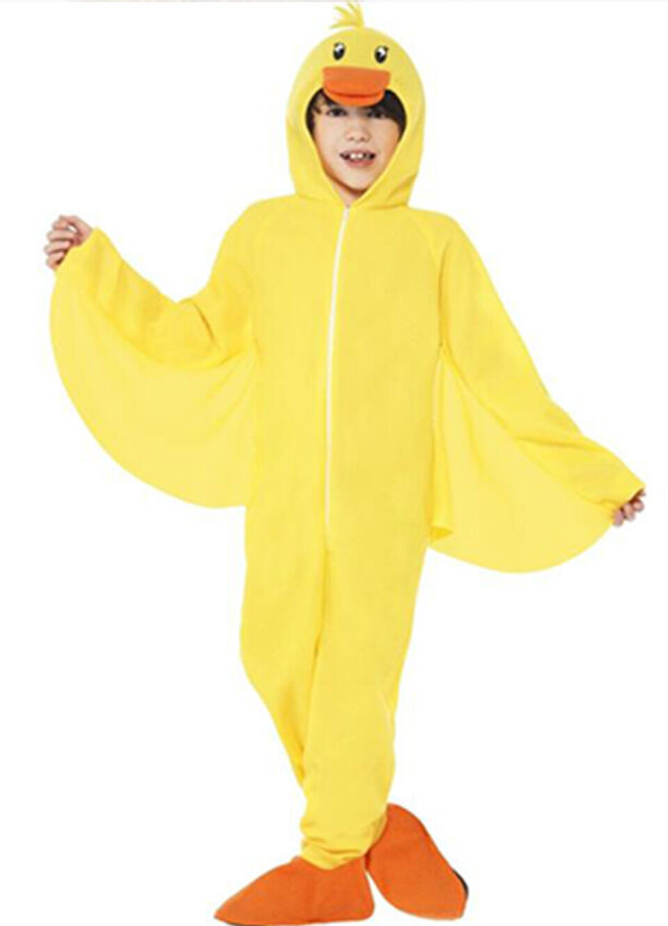 andekostume-fastelavn.jpg