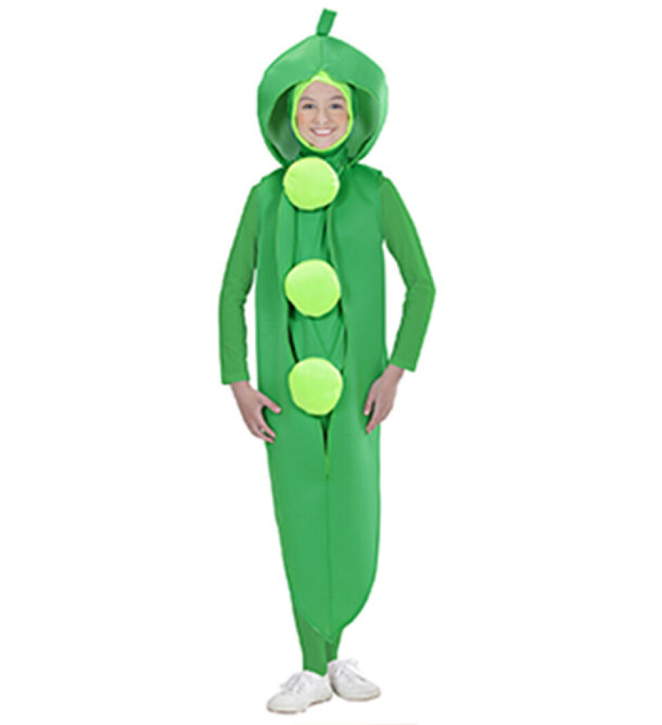 kostume-fastelavn-boern.jpg