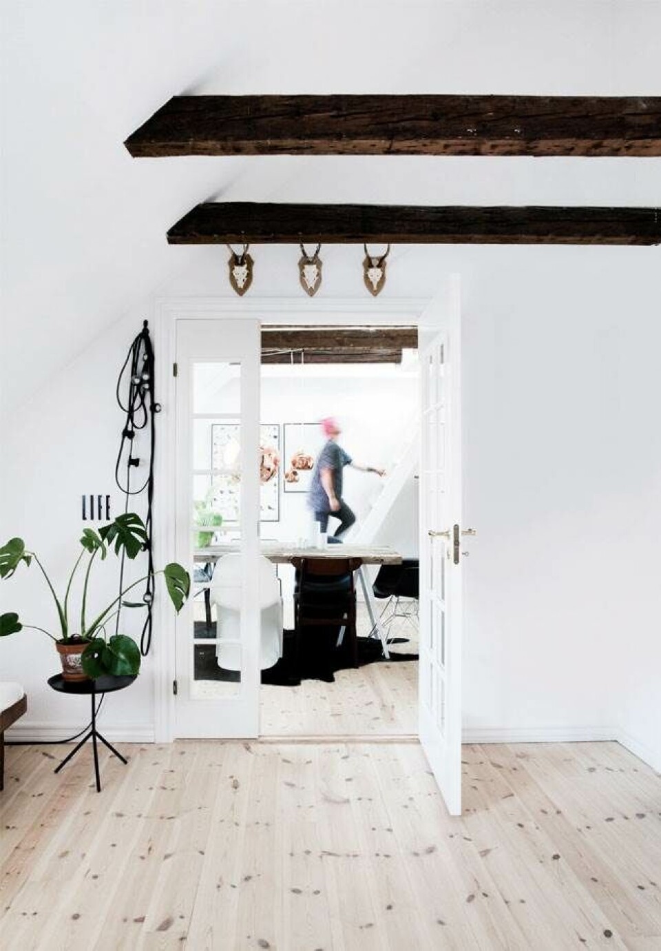 Julies iderige indretning