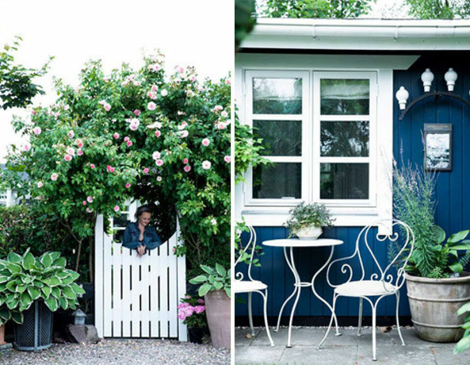 1. Indgangen til kolonihaven er noget helt særligt, hvor rosen Kir royal skjuler den lidt hemmelige have med dens mange kroge og detaljer. På den østvendte plet drikker Leena og Torben morgenkaffen. 2. Cafesættet er fundet i en container i Tivoli og herefter har Torben repareret det. Lampen på væggen er også inspireret af Tivoli, og lavet af Torben.