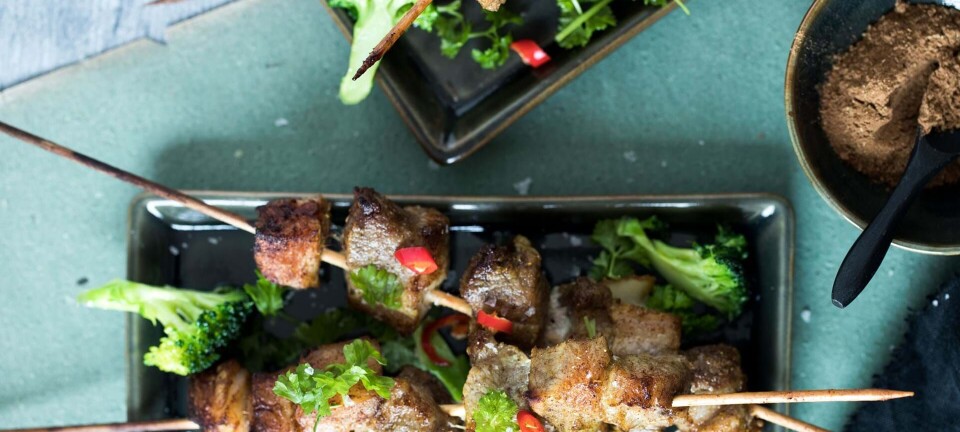 Kinesiske spyd med svinekød