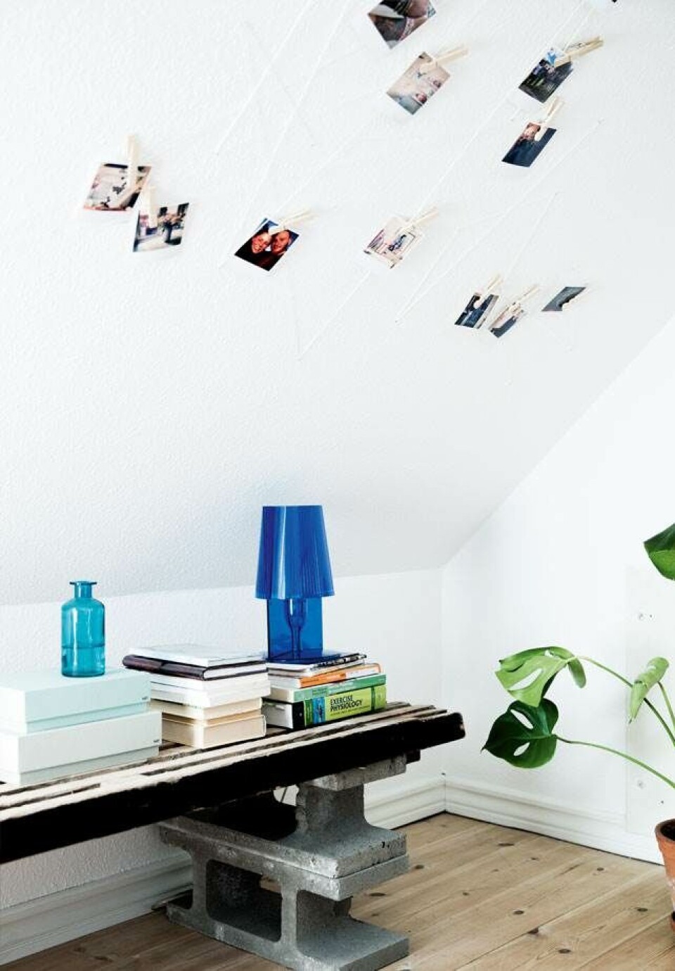 Julies iderige indretning