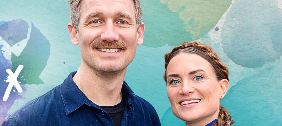 Få eksperternes 5 gode råd til at få opfyldt dine boligdrømme - uden at tømme pengekassen