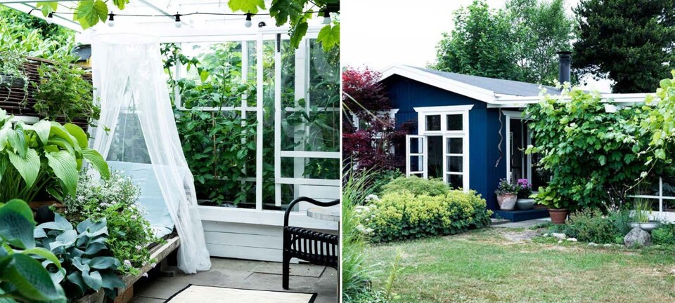 Gartnerens åndehul: 'Alle med stress skulle have en kolonihave på recept'