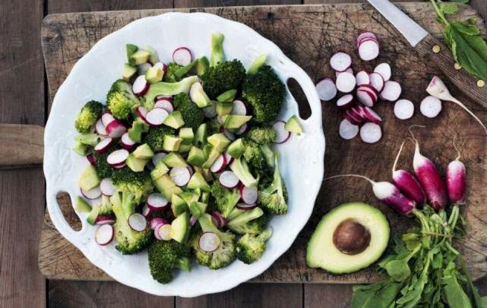 LCHF: Sunde retter med fedt og smag