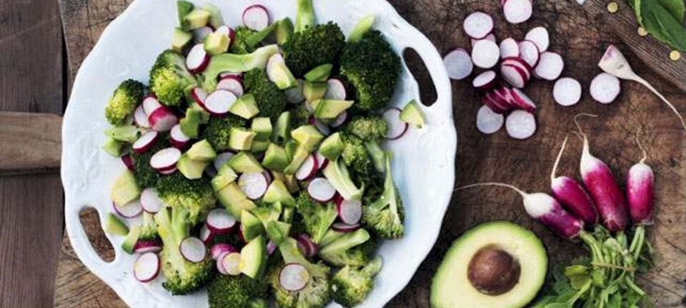 LCHF: Sunde retter med fedt og smag