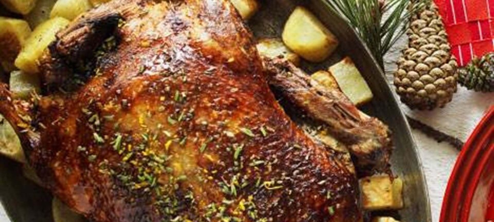 Langtidsstegt and med appelsin