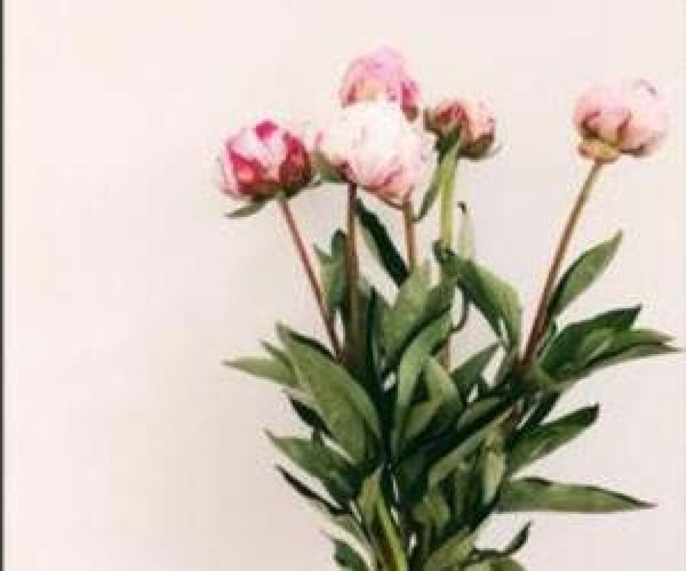 11 inspirerende boligdesignere på Instagram