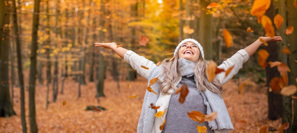 Fra tørt løb til smuk glød: 14 skønne nyheder til dit efterår