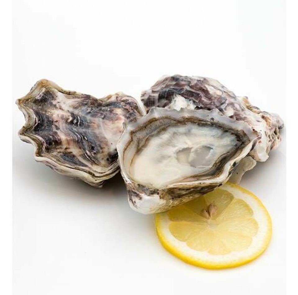 9 madvarer, du med fordel kan komme i mikroovnen