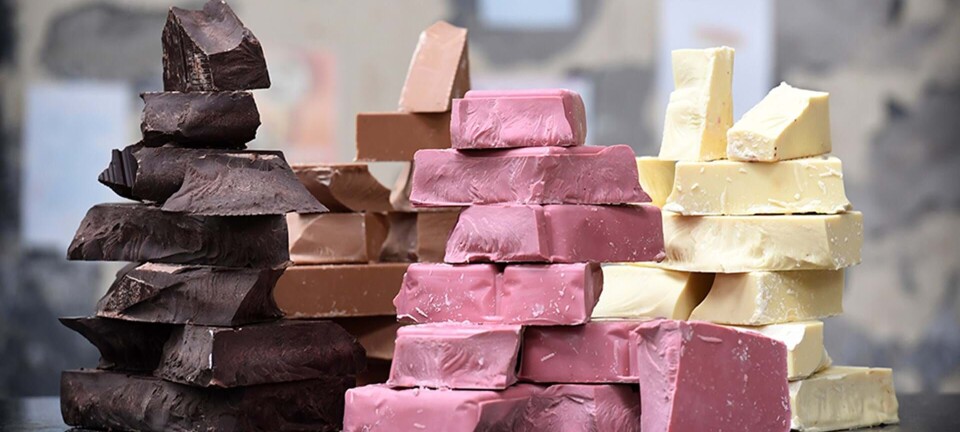 Nu kommer lyserød chokolade til Danmark