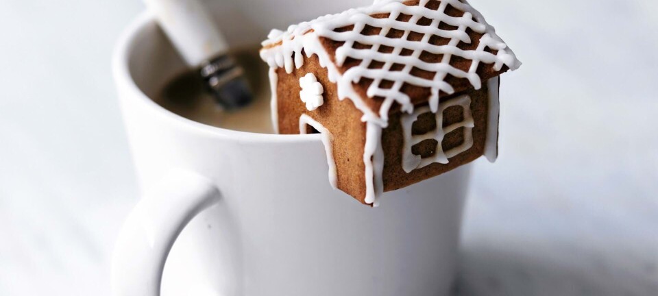 Mini-peberkagehus
