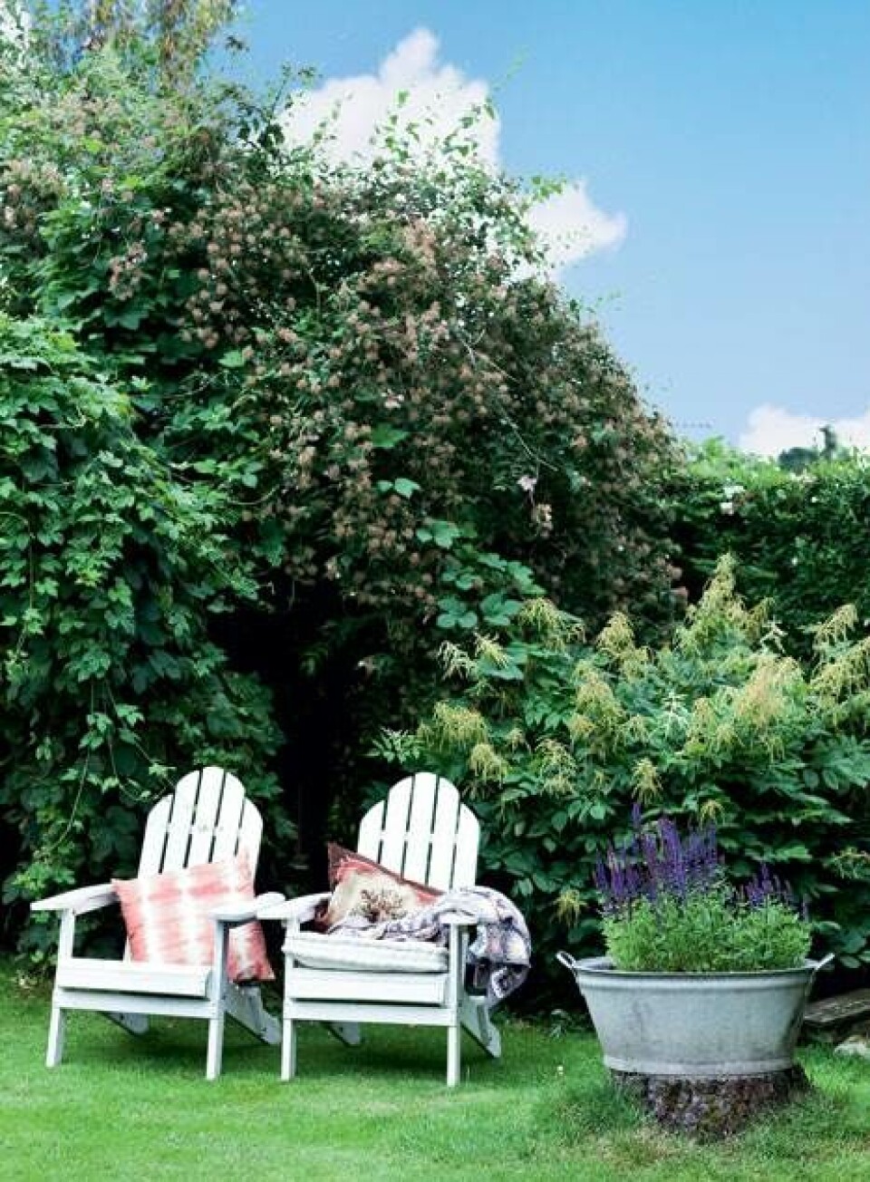 Sommerinspiration til haven