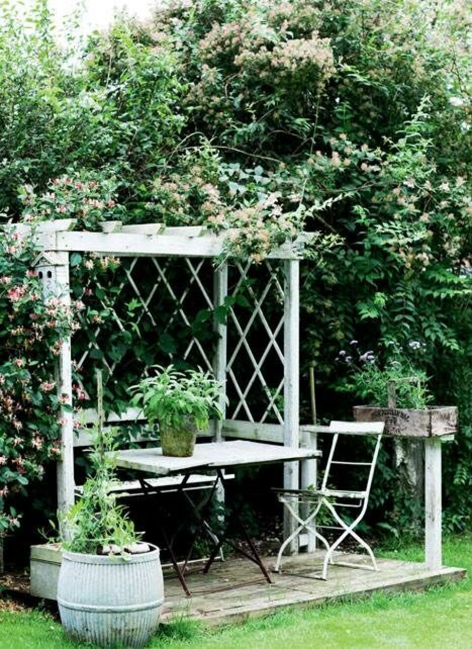 Sommerinspiration til haven